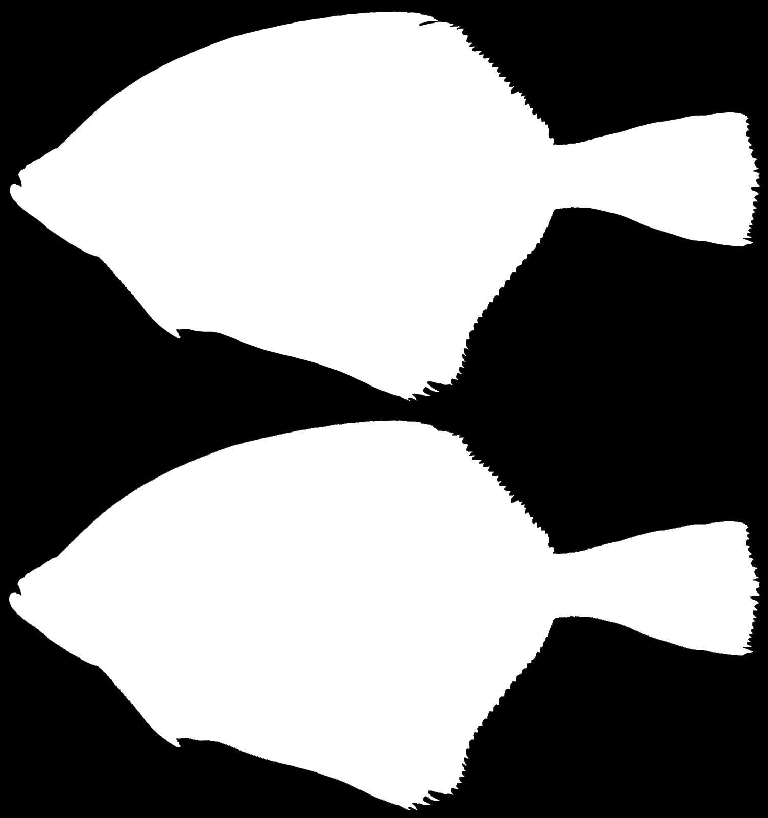 Showcase with fish and seafood 3D model_9