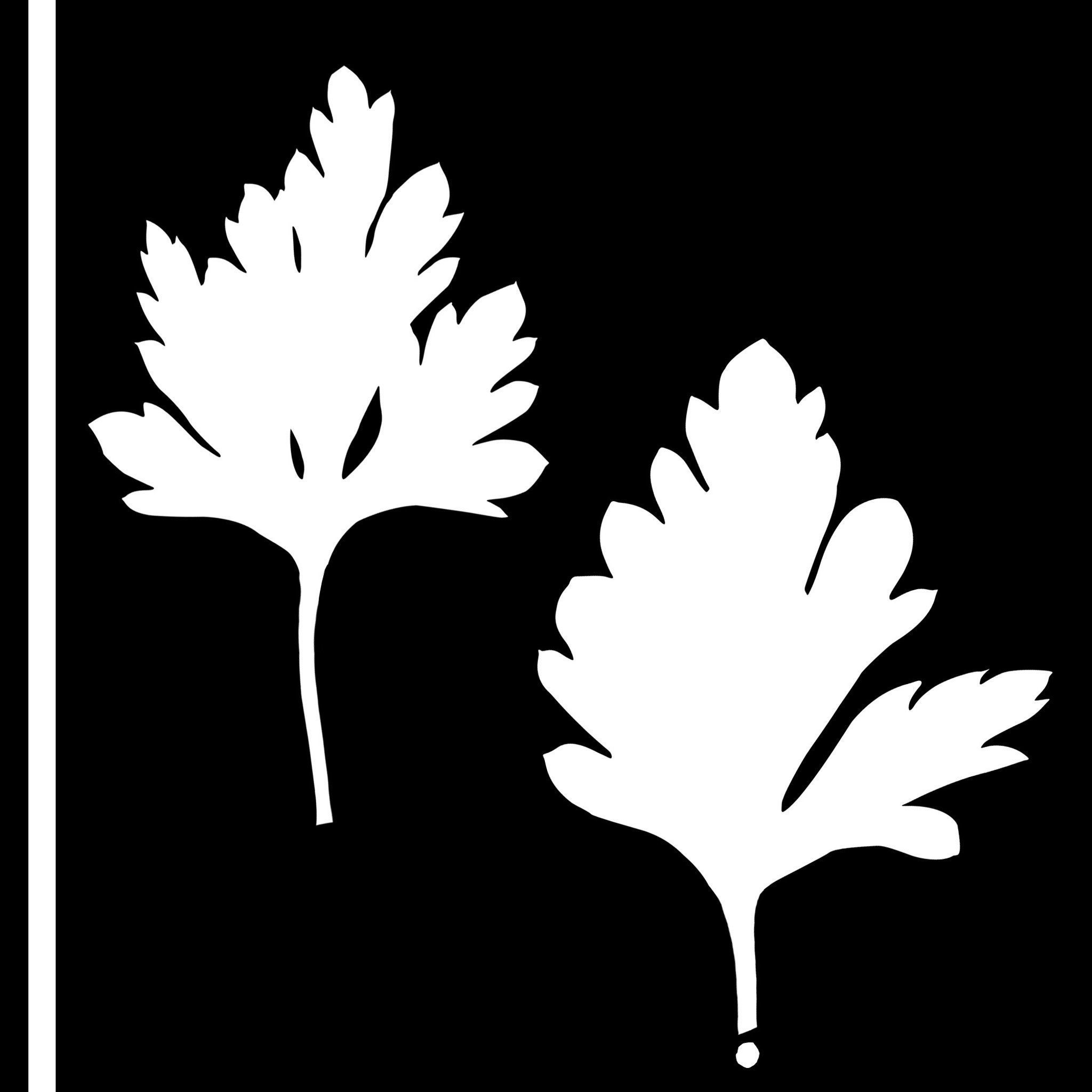 Showcase with fish and seafood 3D model_28