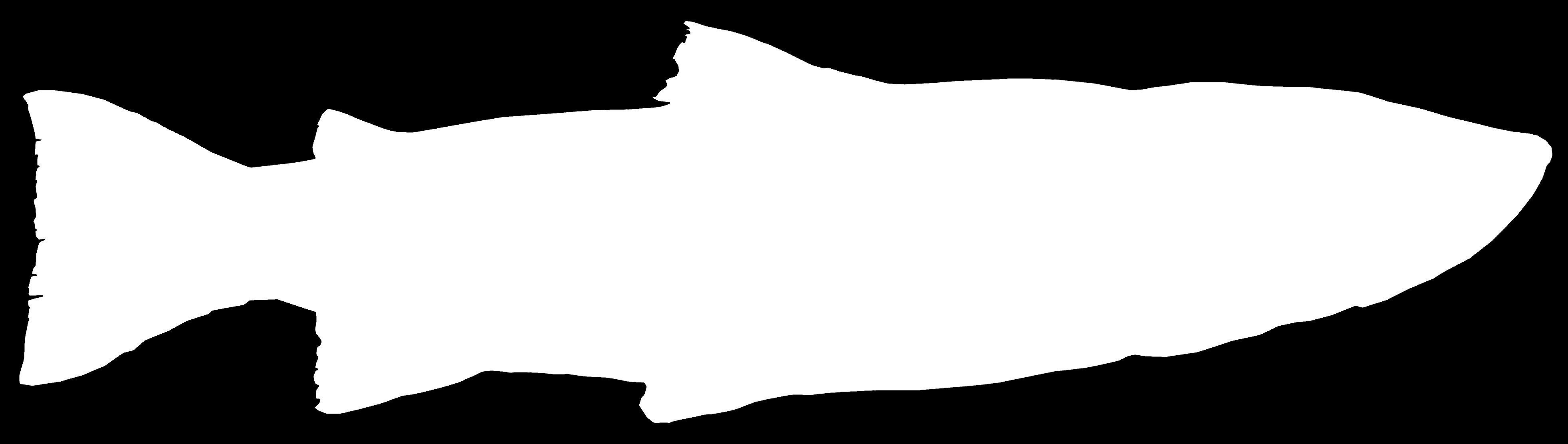 Showcase with fish and seafood 3D model_20