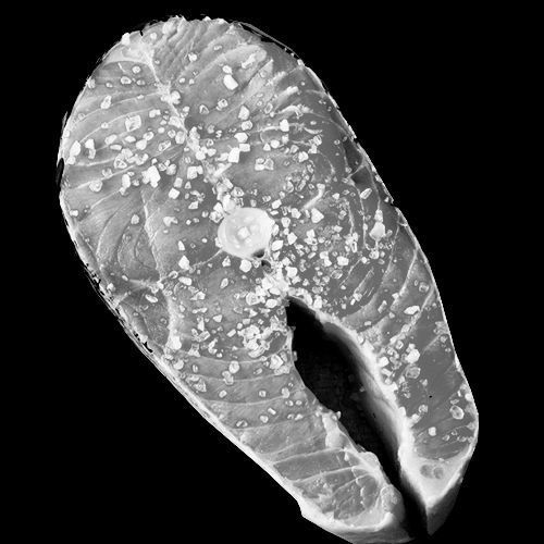 Showcase with fish and seafood 3D model_15