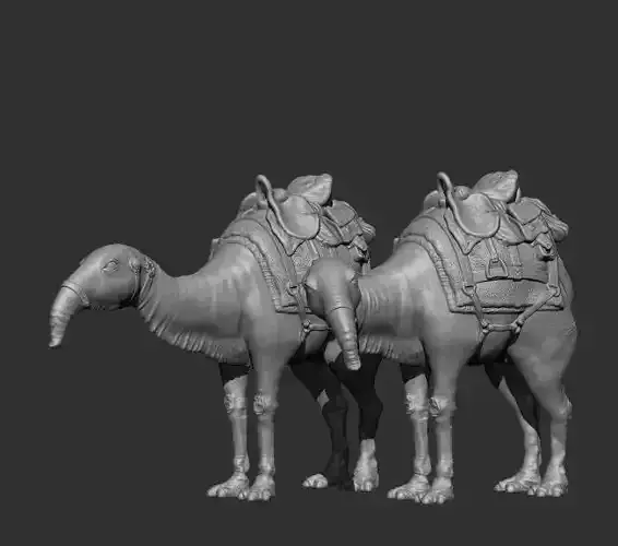 Eopie two camels with saddles