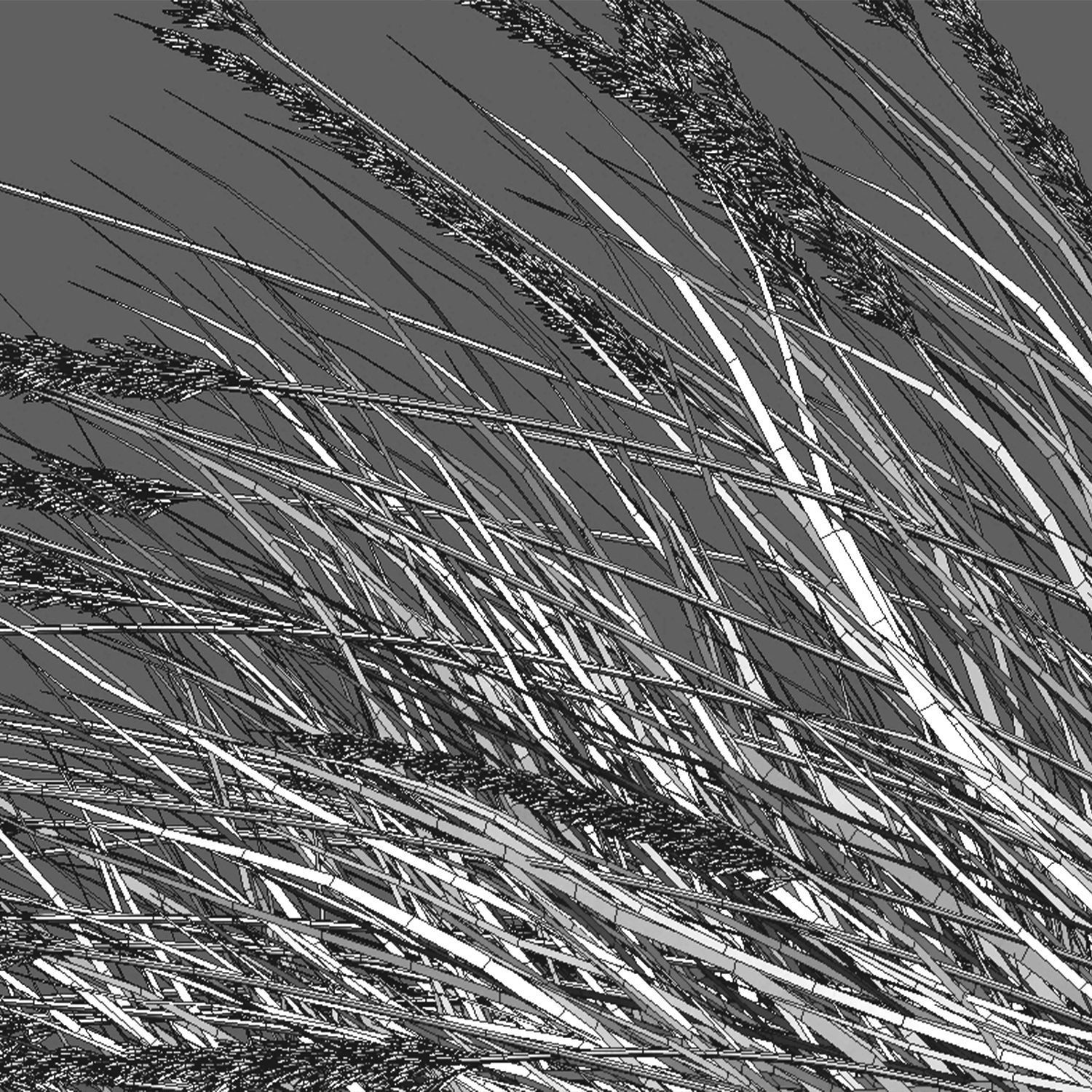 Muhlenbergia rigens 02 3D model_3