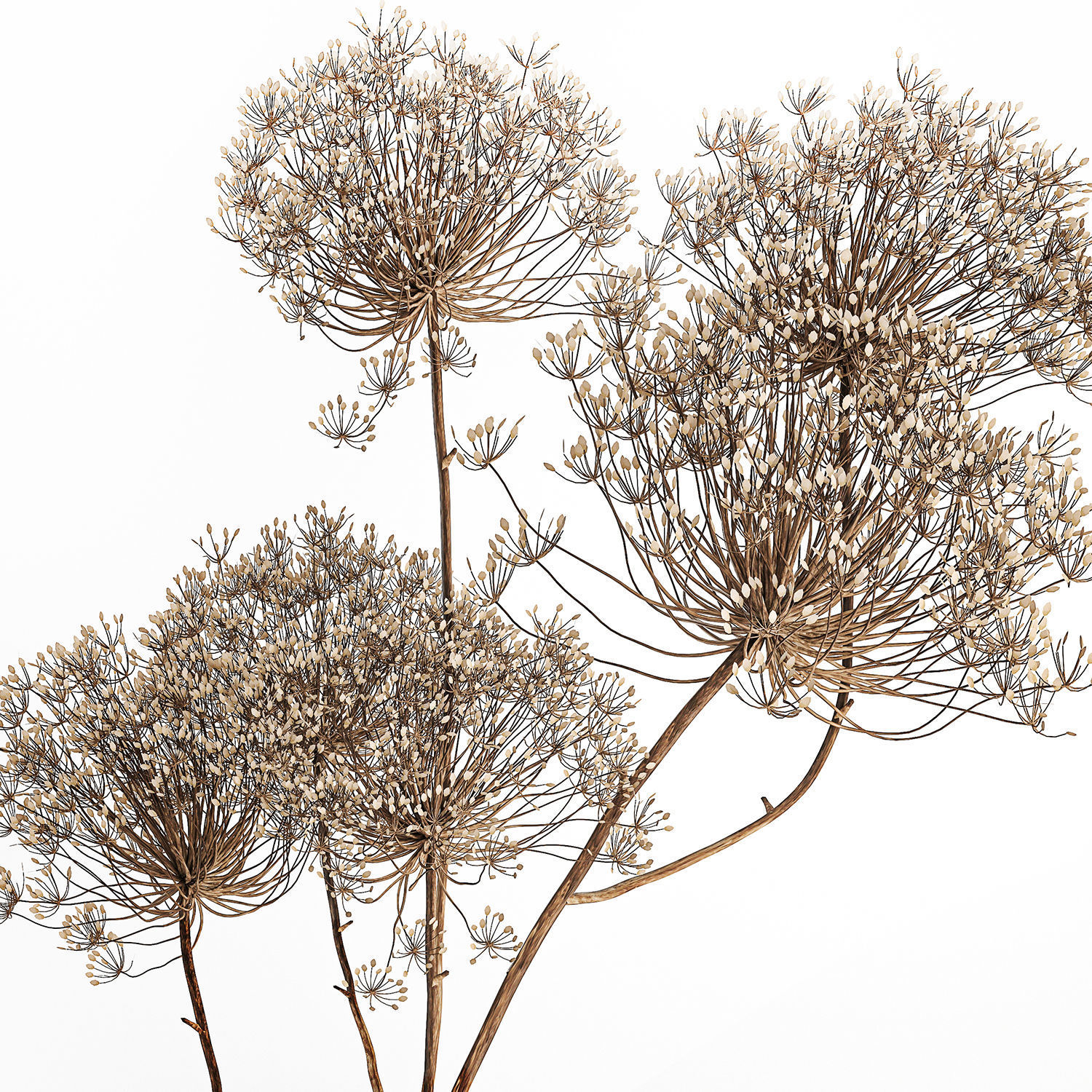 Citrus Lemonade With Ice And Orange Slices 3D model_5