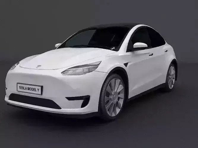 Tesla Model Y 2020