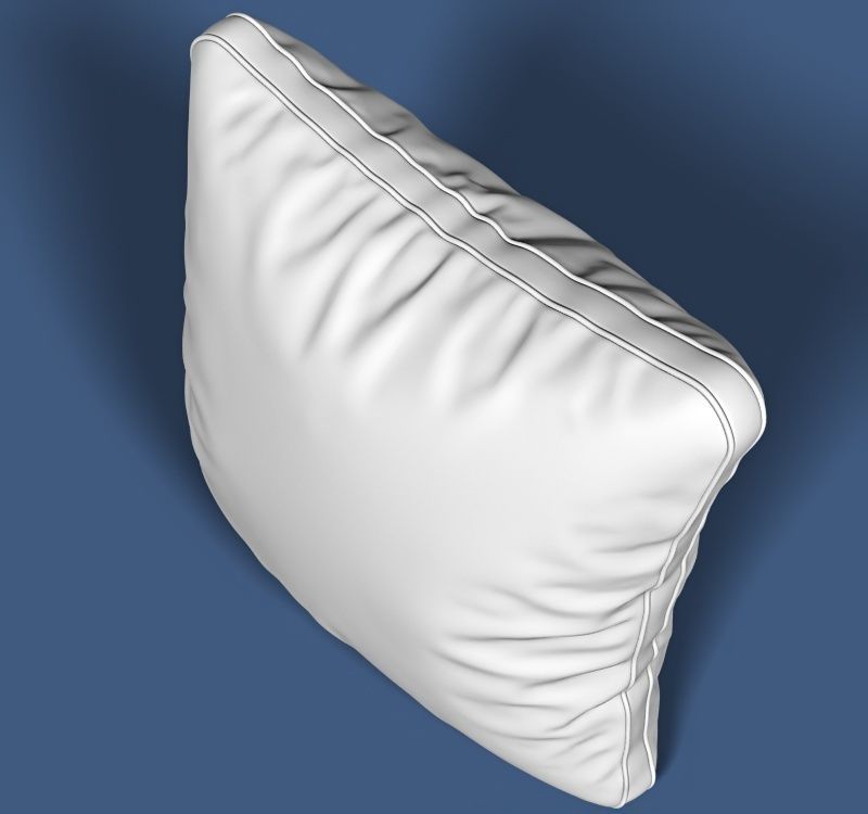 Pillow 98 3D model_7