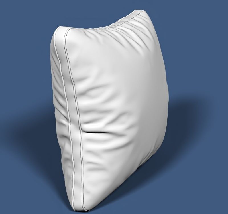 Pillow 98 3D model_1
