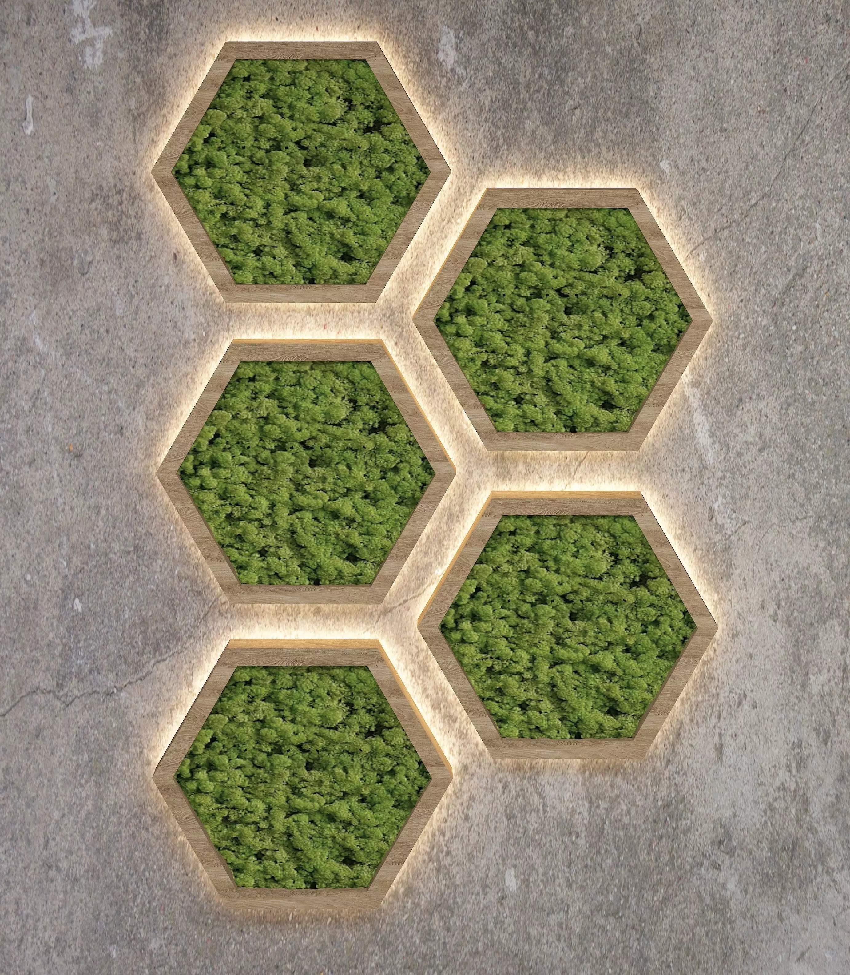 Decorative moss  Low-poly 3D model_0