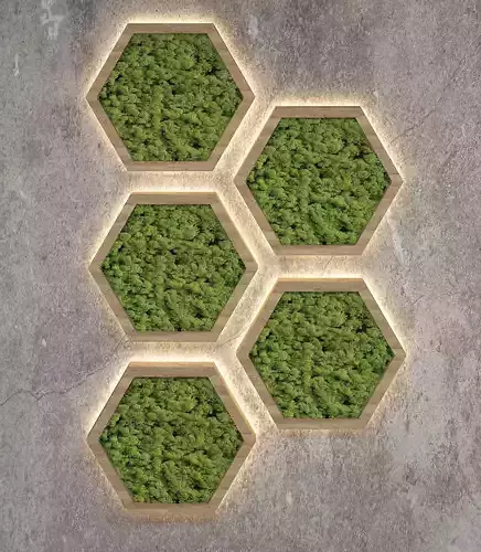 Decorative moss  Low-poly 3D model