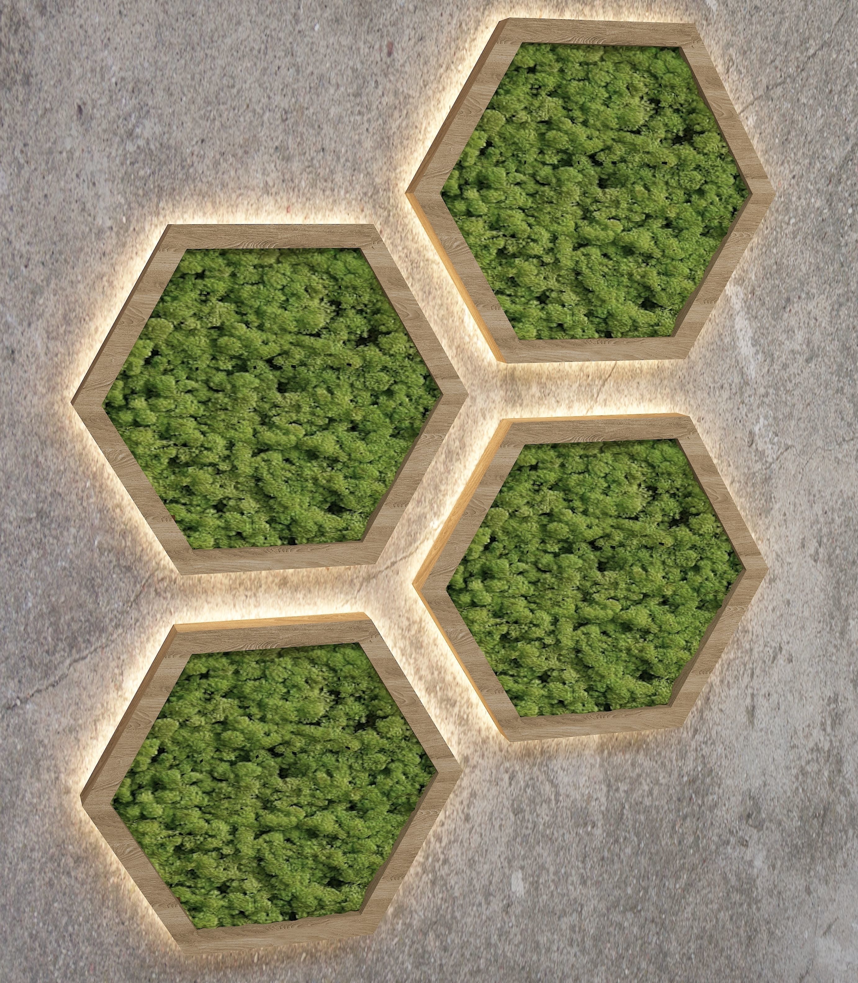 Decorative moss  Low-poly 3D model_1