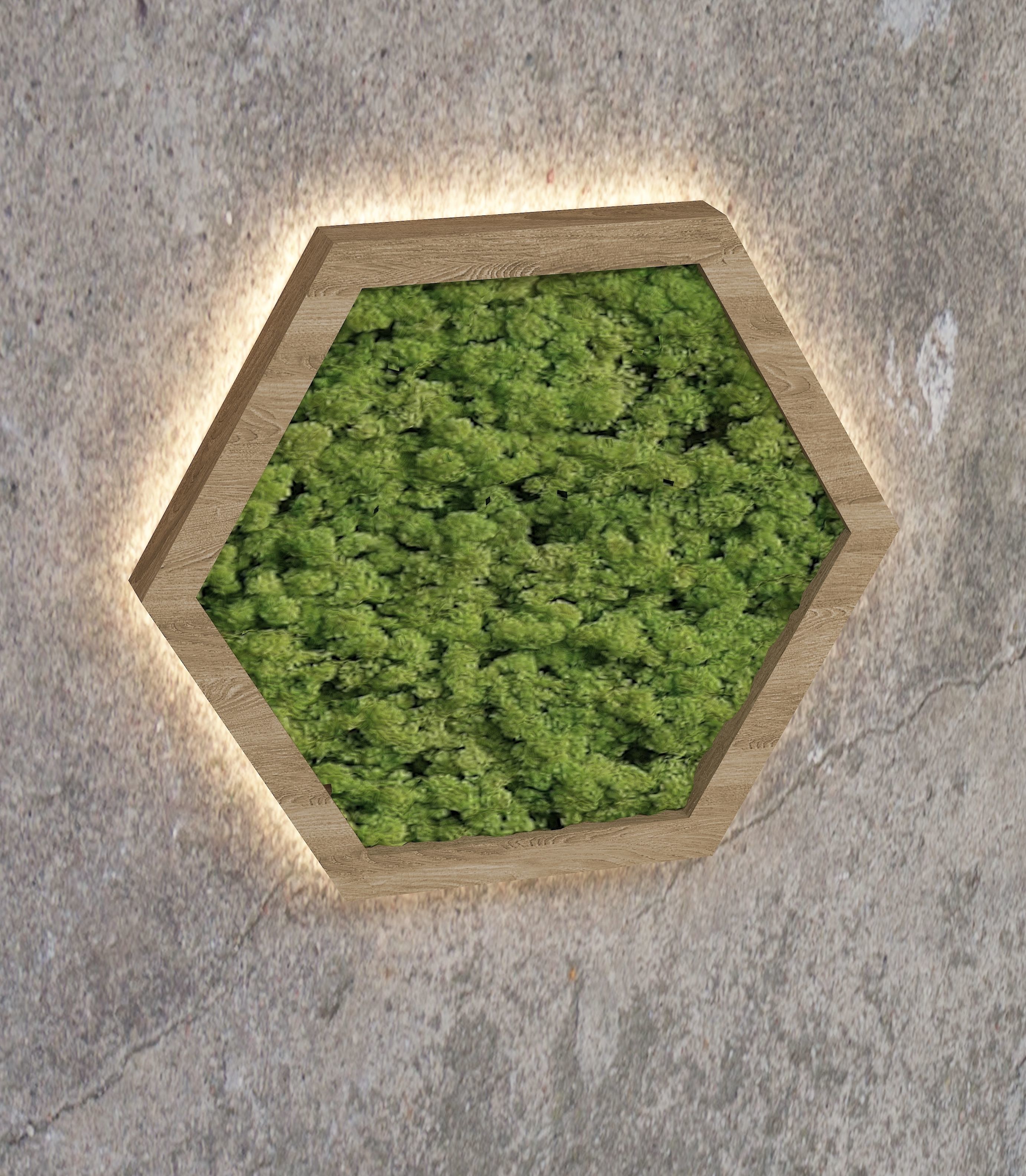 Decorative moss  Low-poly 3D model_2