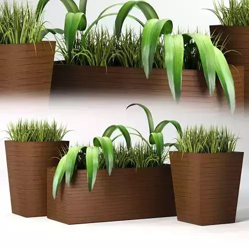 Indoor plants set