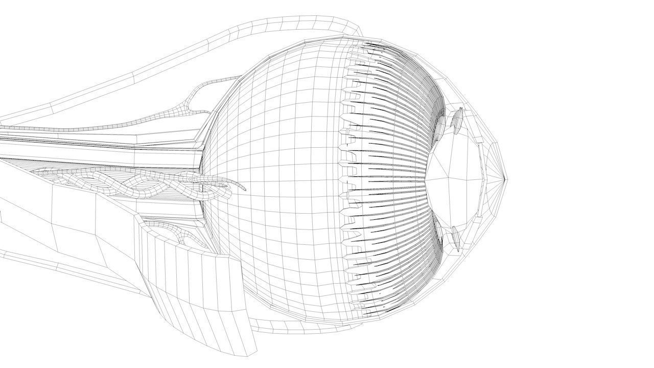 Eye anatomy cross section - inner structure Low-poly 3D model_14