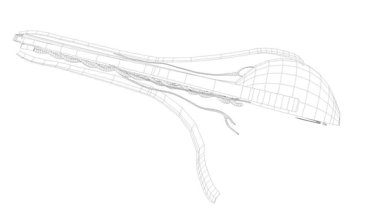 Eye anatomy cross section - inner structure Low-poly 3D model_17