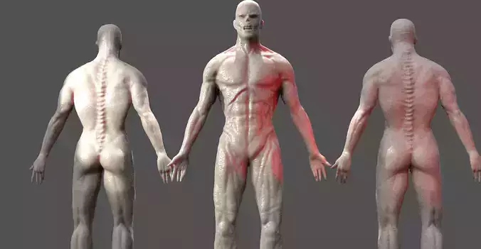 Zombie Warrior anatomy 1 3D