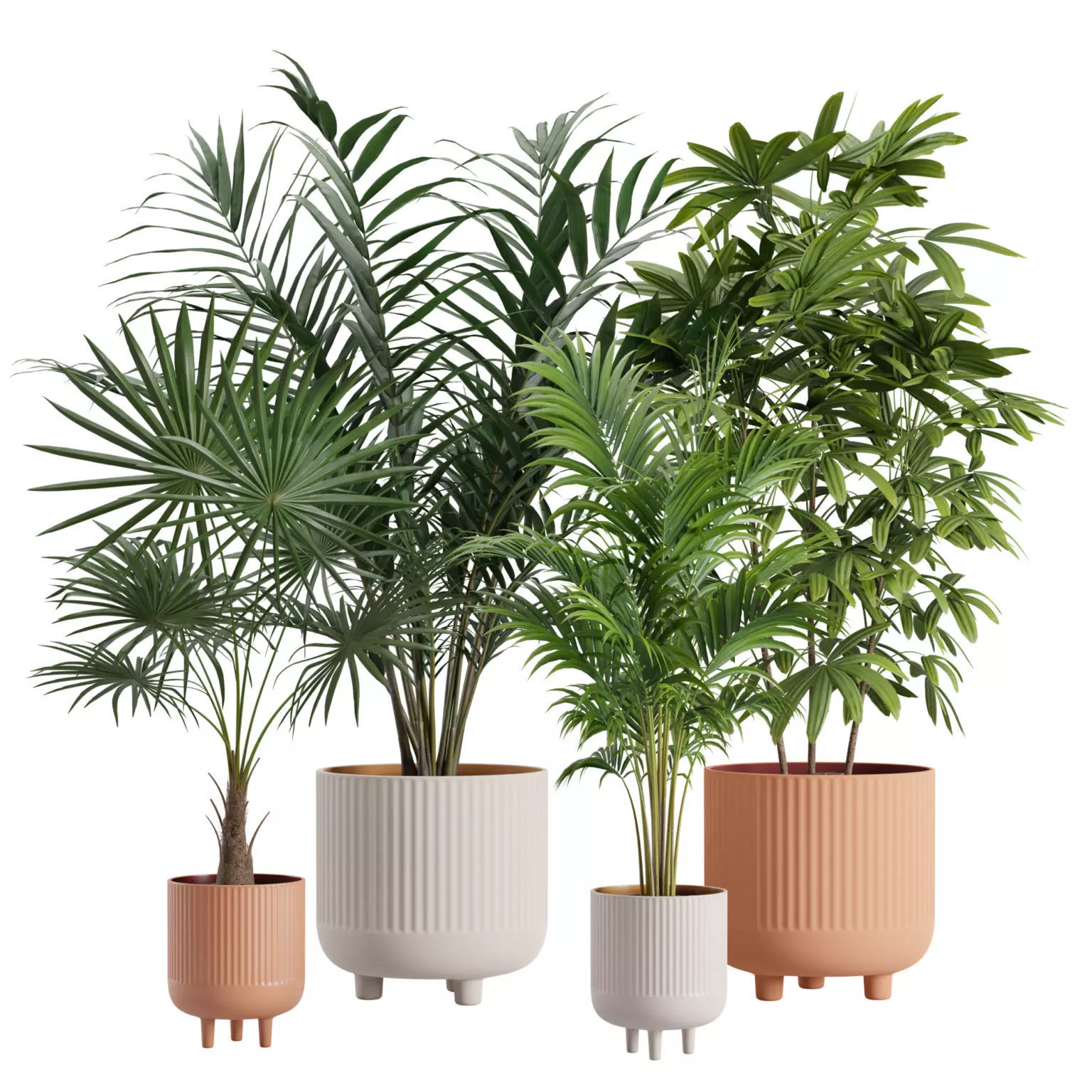 Indoor Plants Pack 22 3D model