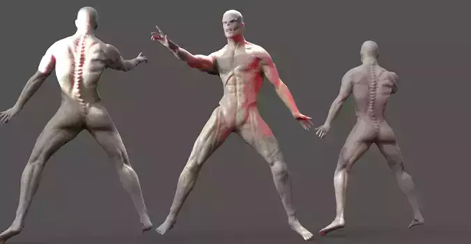 Zombie Warrior anatomy Action pose