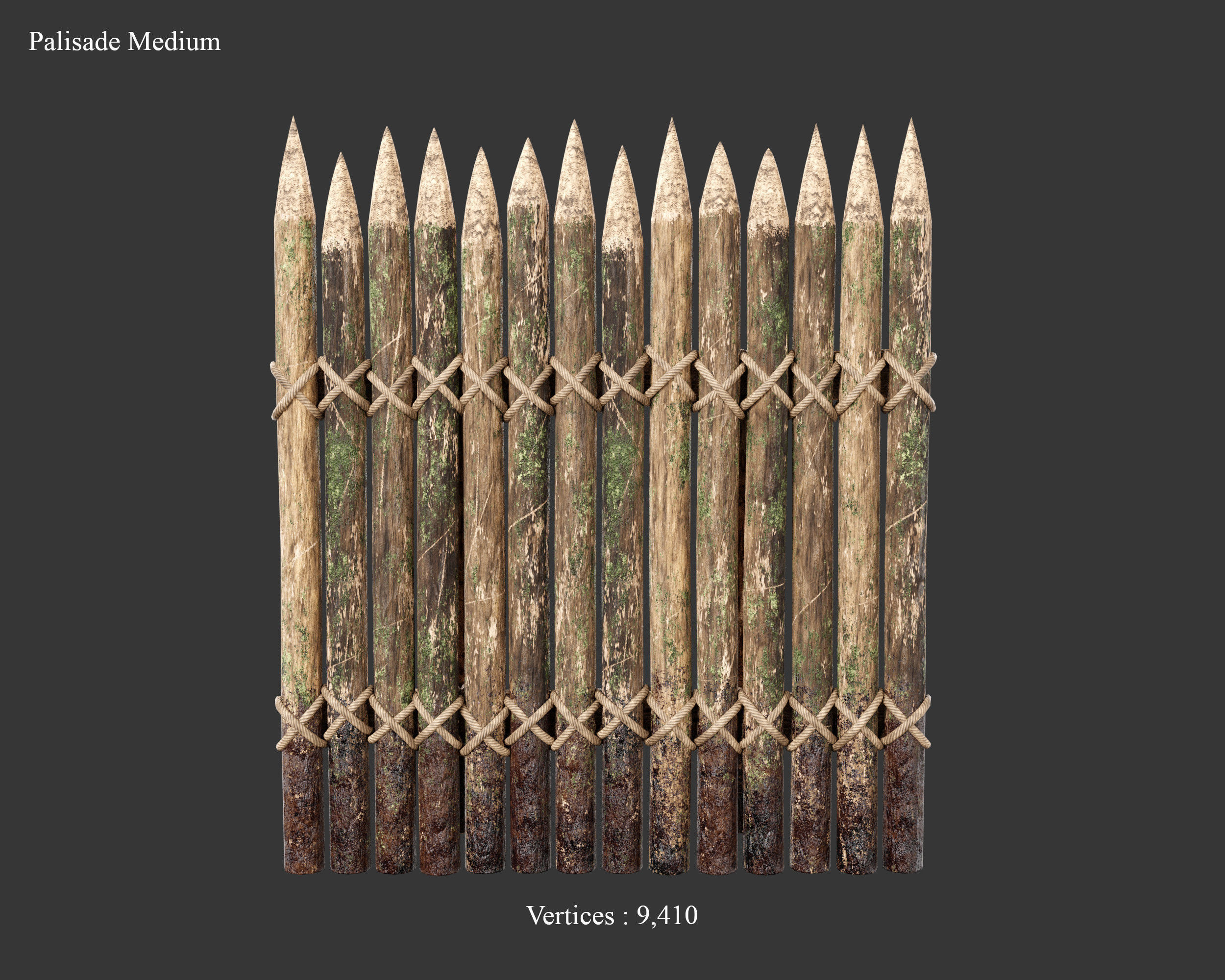Medieval Collection Defense Spiked Walls _22