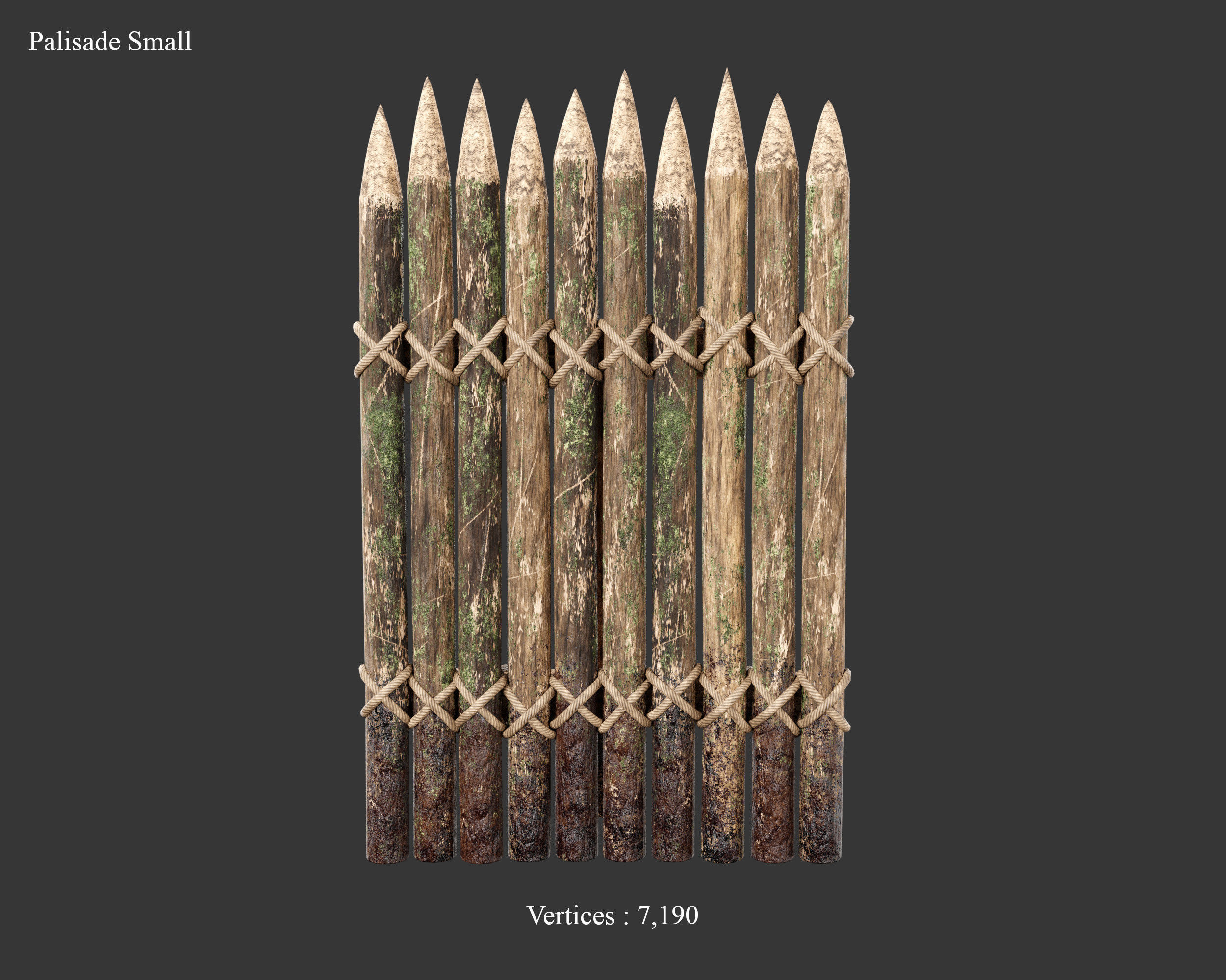 Medieval Collection Defense Spiked Walls _24