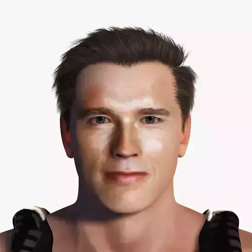 Arnold Schwarzenegger 3D Rigged model ready for animation Low-poly 3D model