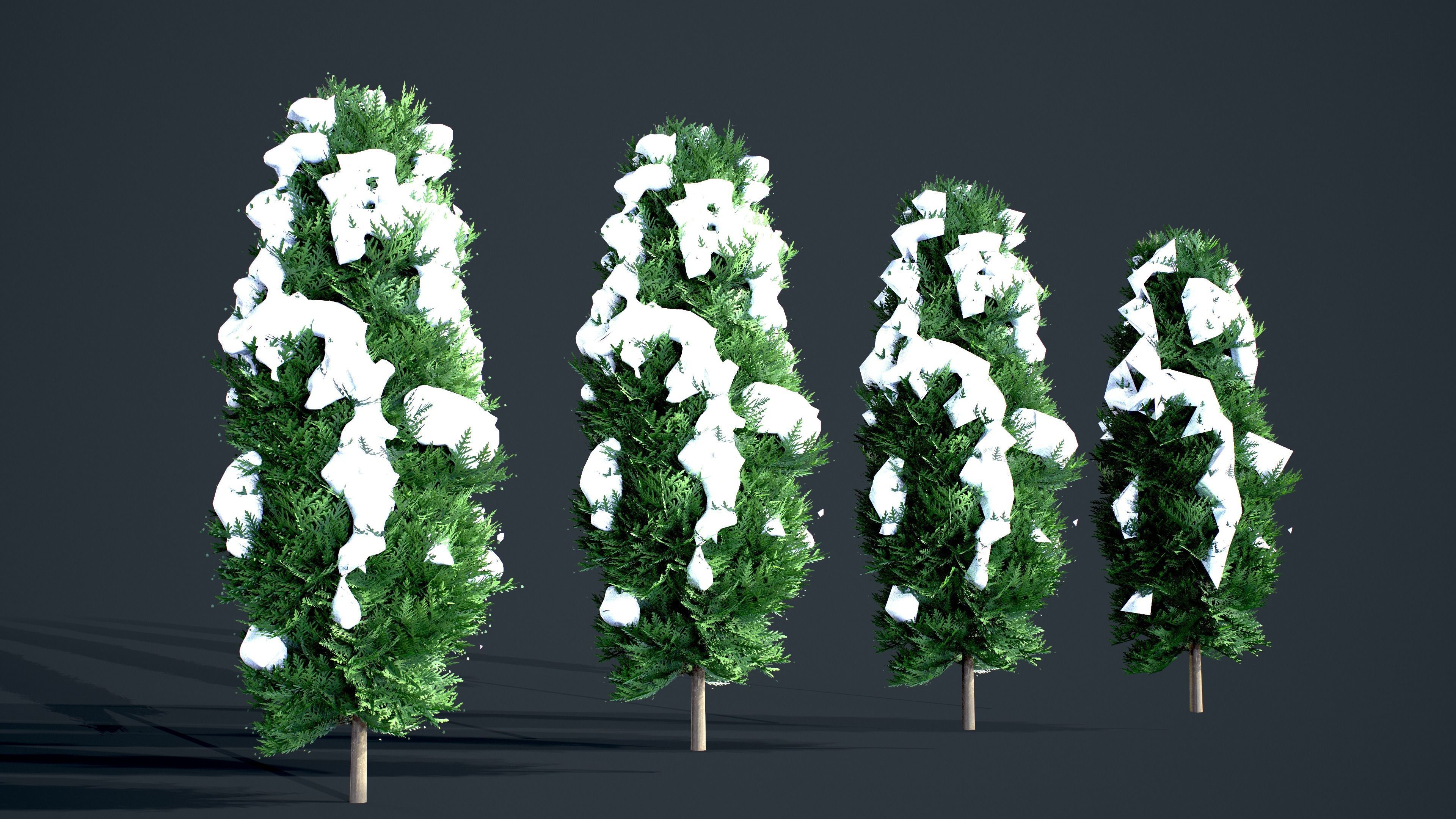 Cypress - Tree bundle with LODs winter and summer Low-poly 3D model_5