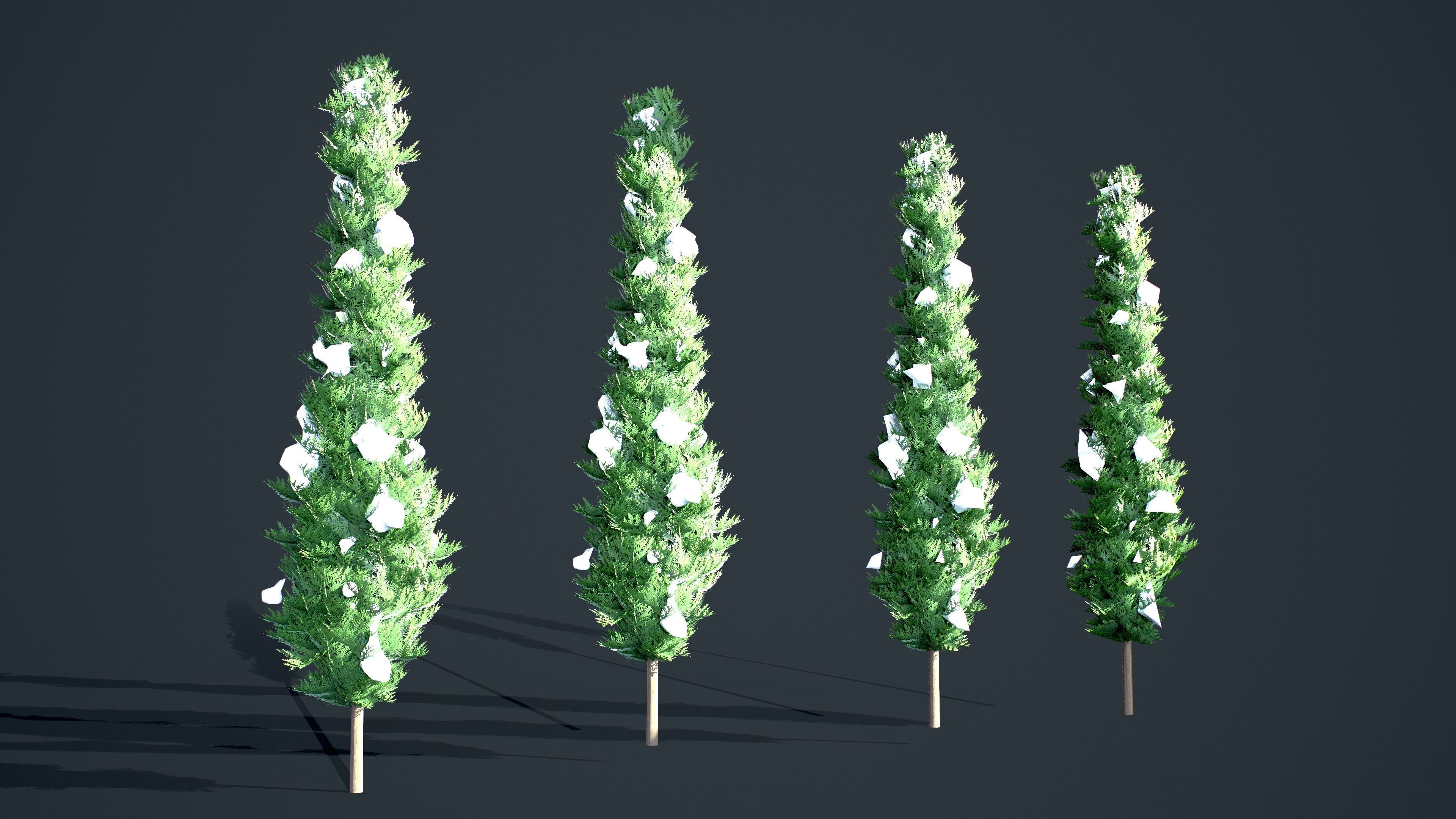 Cypress - Tree bundle with LODs winter and summer Low-poly 3D model_3