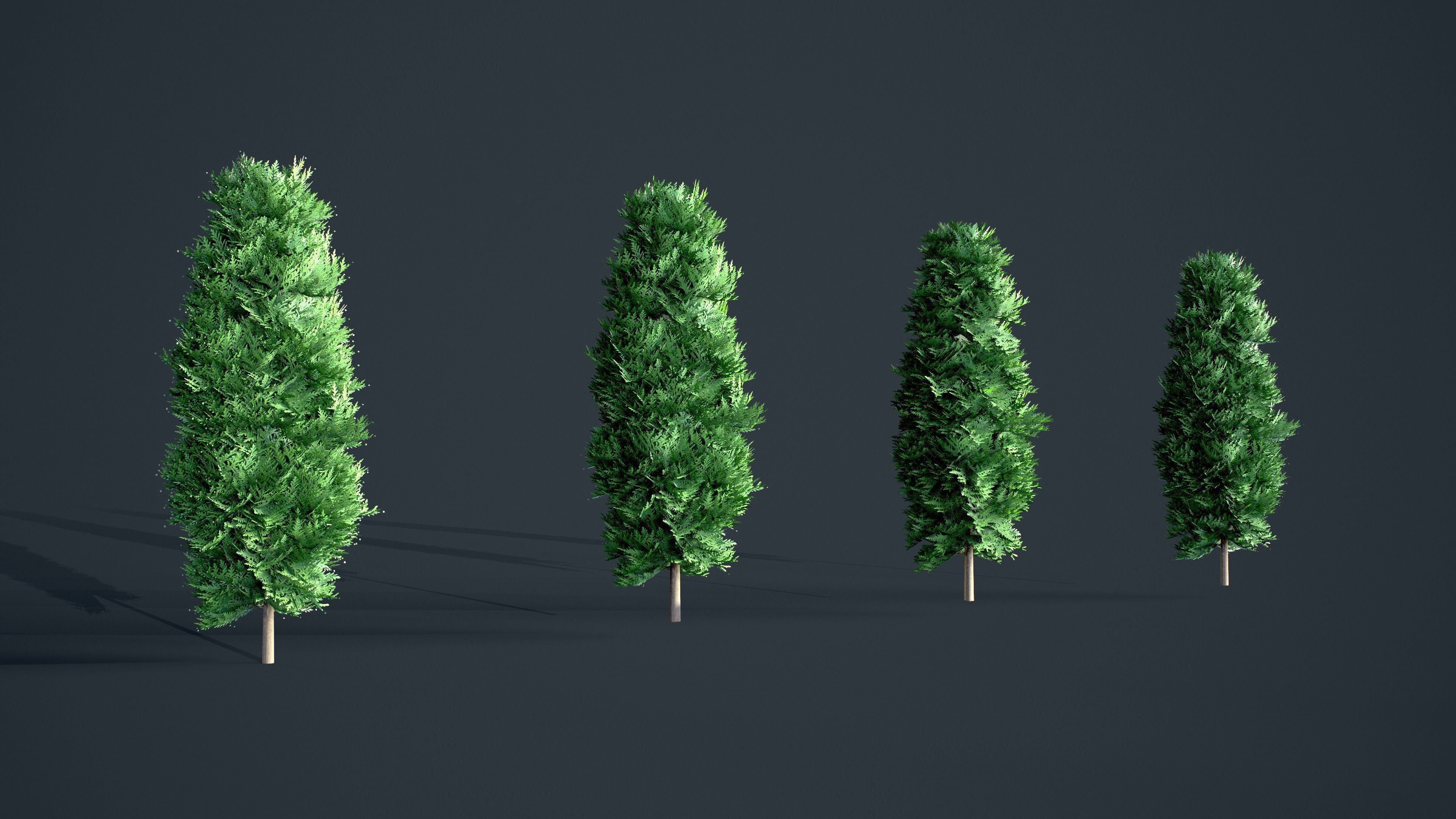Cypress - Tree bundle with LODs winter and summer Low-poly 3D model_8