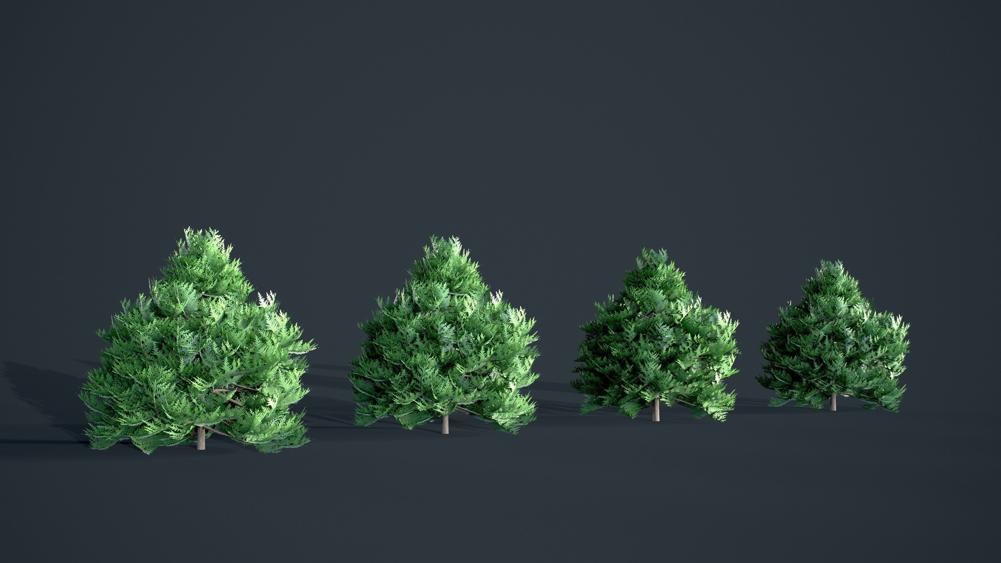 Cypress - Tree bundle with LODs winter and summer Low-poly 3D model_7