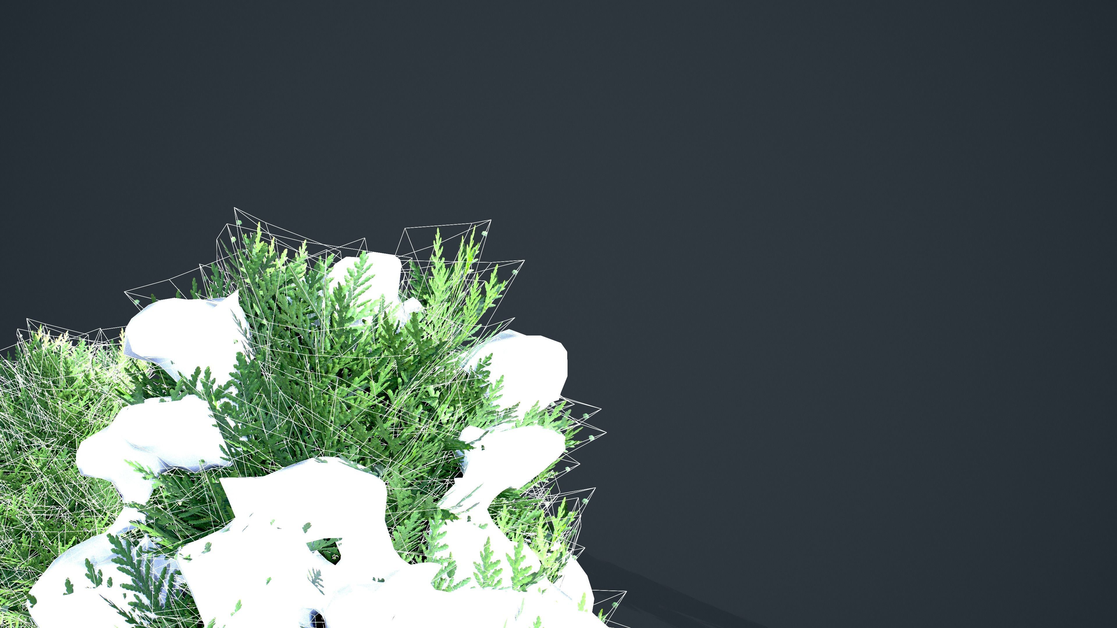 Cypress - Tree bundle with LODs winter and summer Low-poly 3D model_9