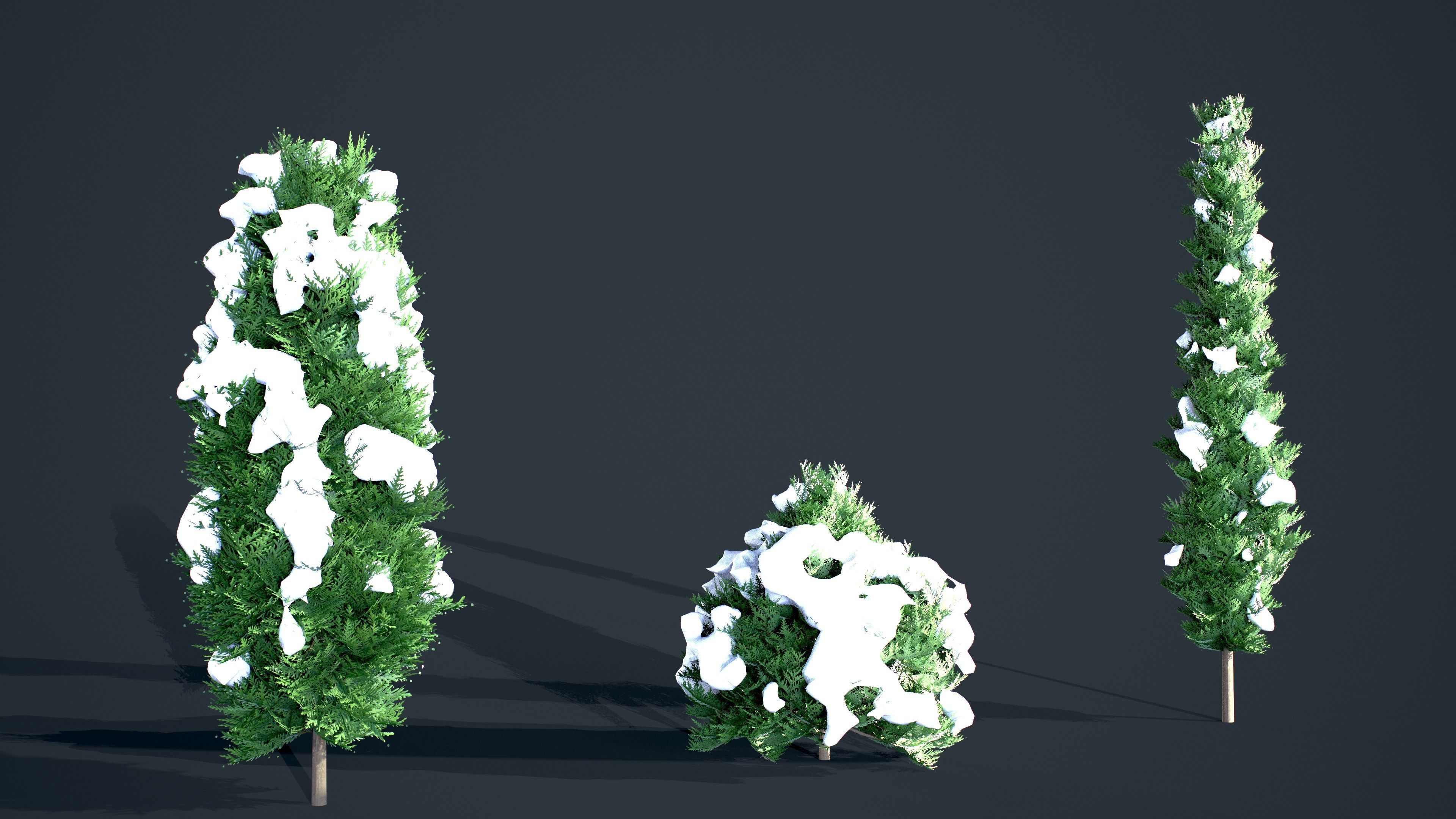 Cypress - Tree bundle with LODs winter and summer Low-poly 3D model_2
