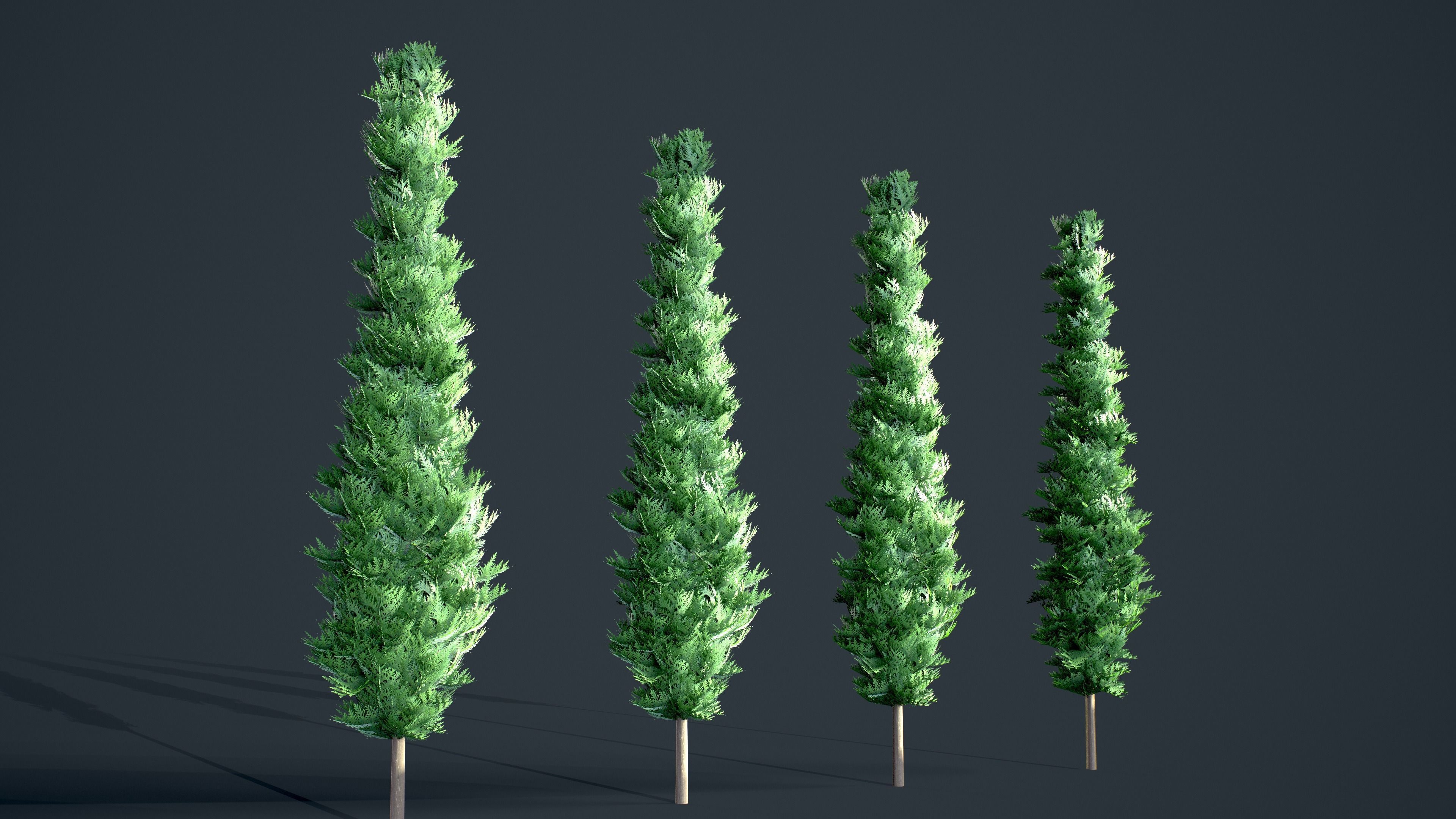 Cypress - Tree bundle with LODs winter and summer Low-poly 3D model_6