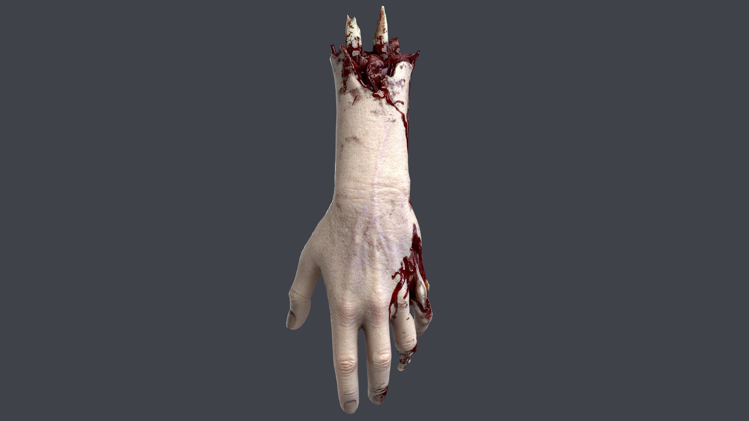Severed Hand Low-poly 3D model_2