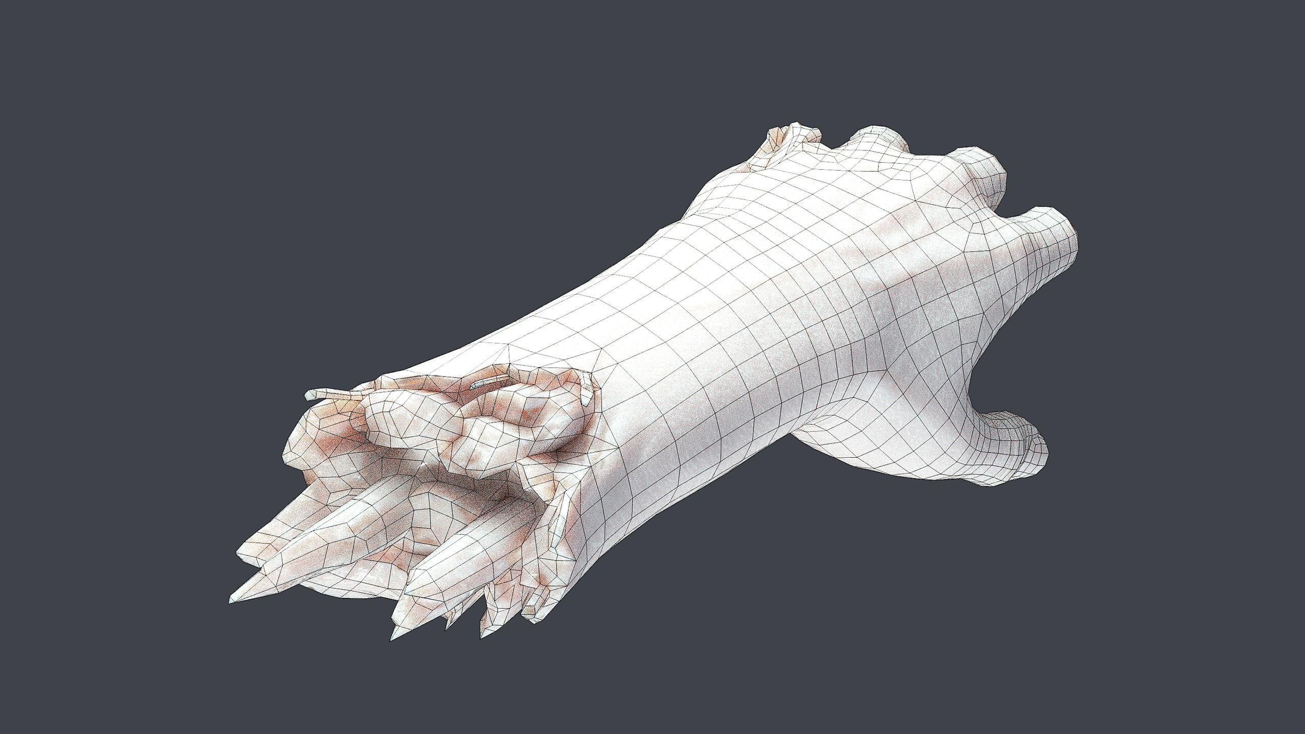 Severed Hand Low-poly 3D model_11