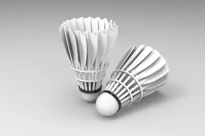 Badminton Ball