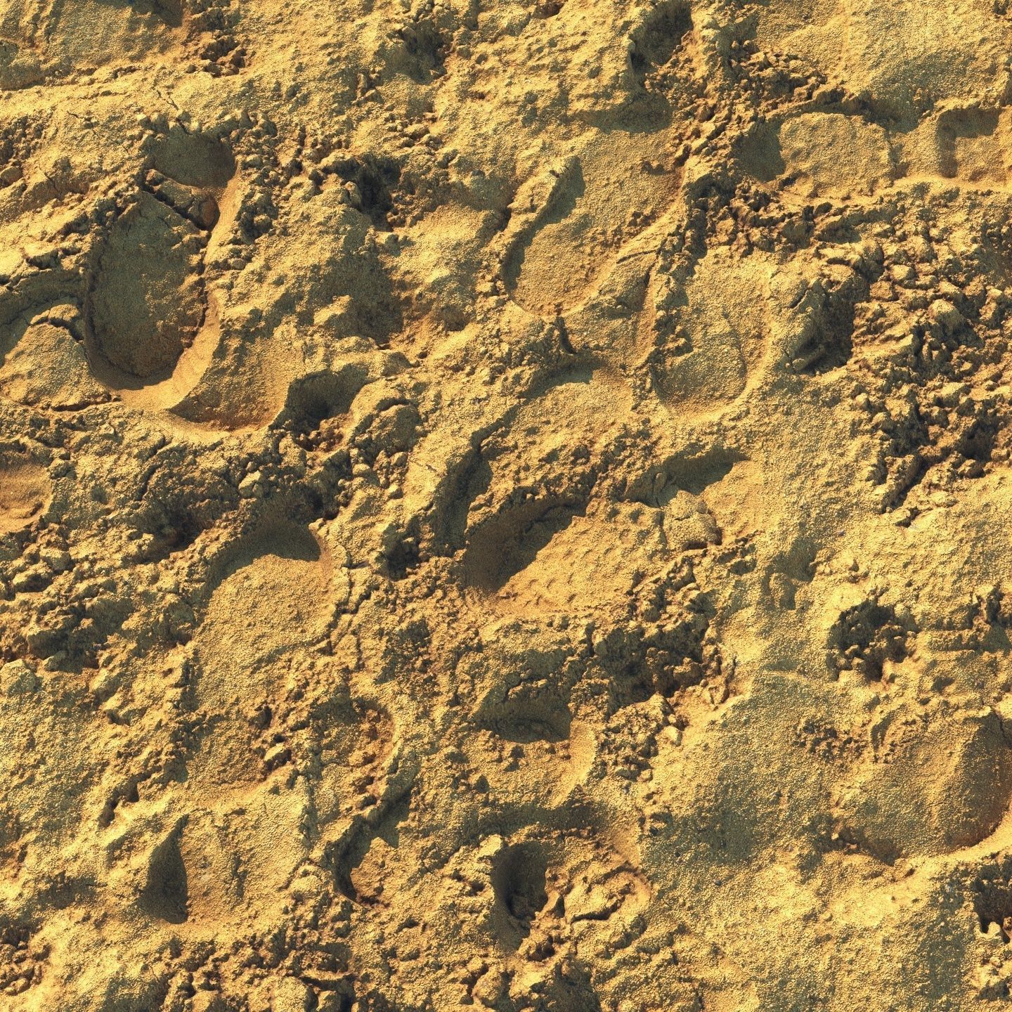 Wet sand material with footprints 3D model_5