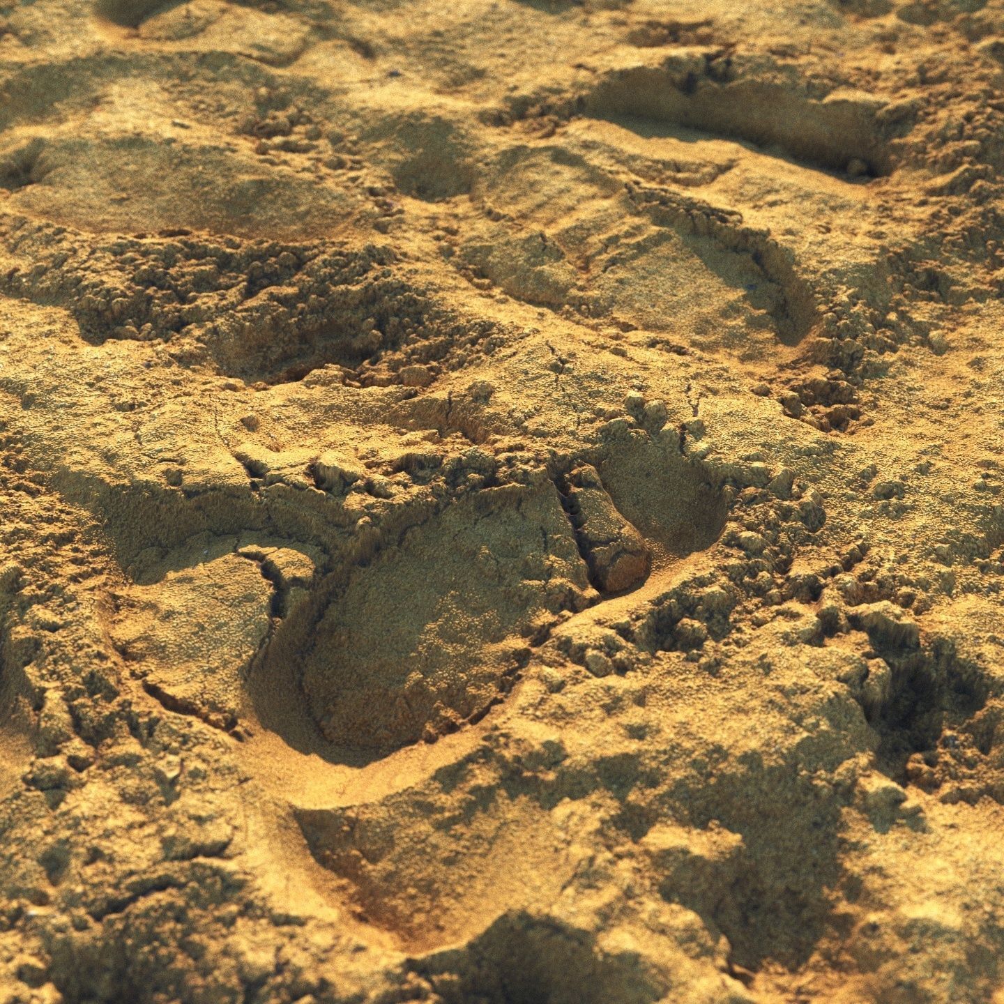 Wet sand material with footprints 3D model_2