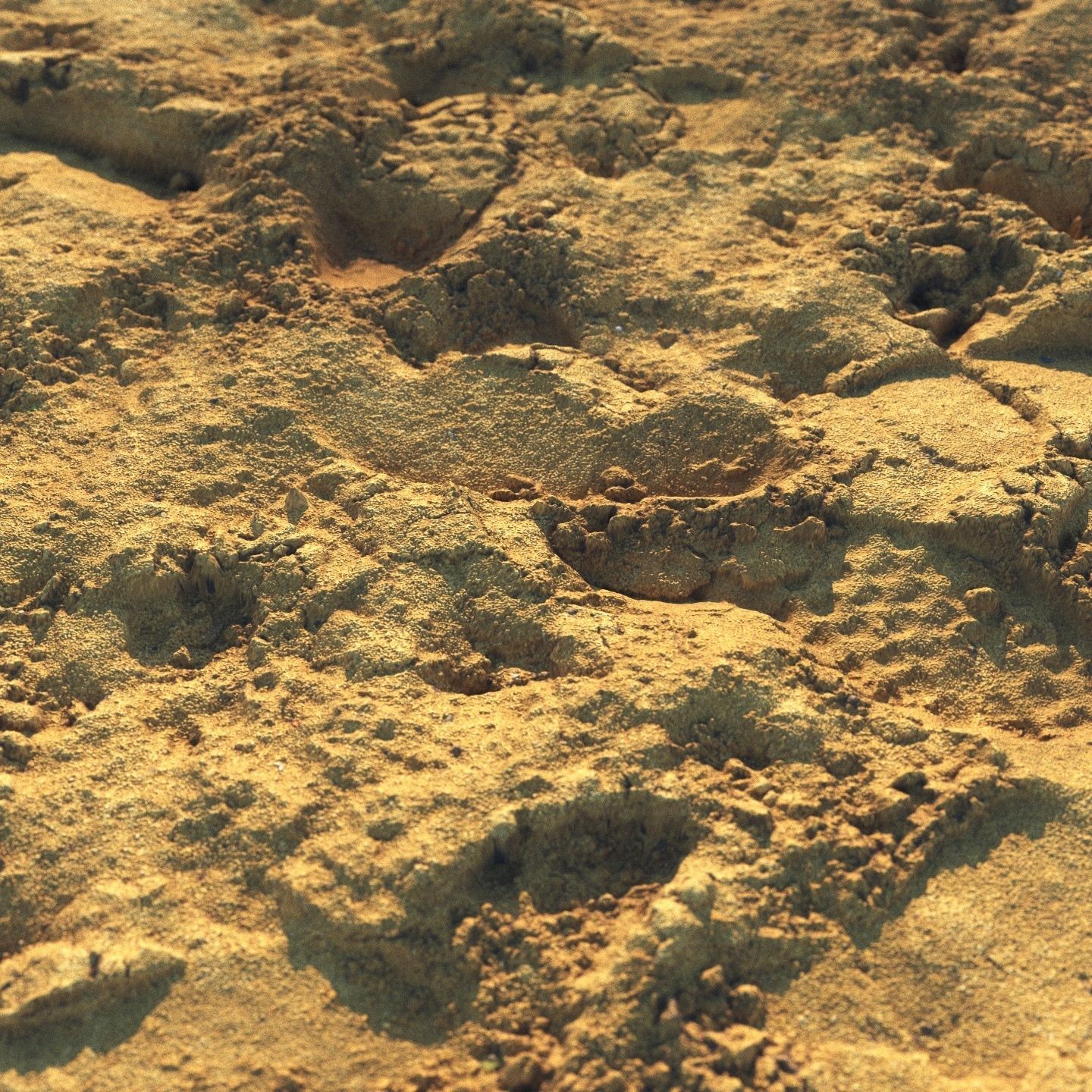 Wet sand material with footprints 3D model_6