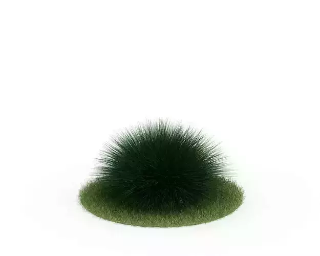 Green Round Grassy Shrub