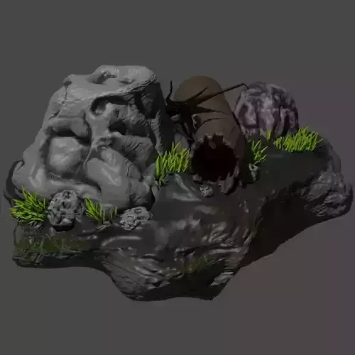 A small clearing made by sculpting