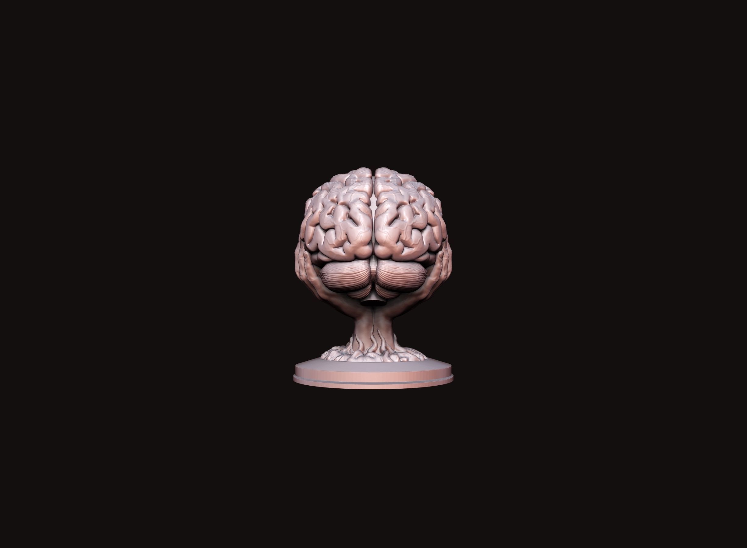 Brain sculpture 3D print model_10
