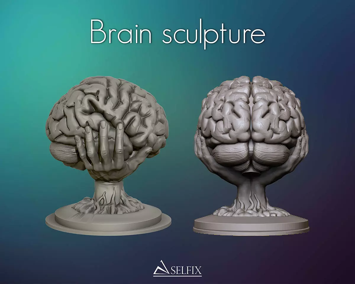 Brain sculpture 3D print model_0