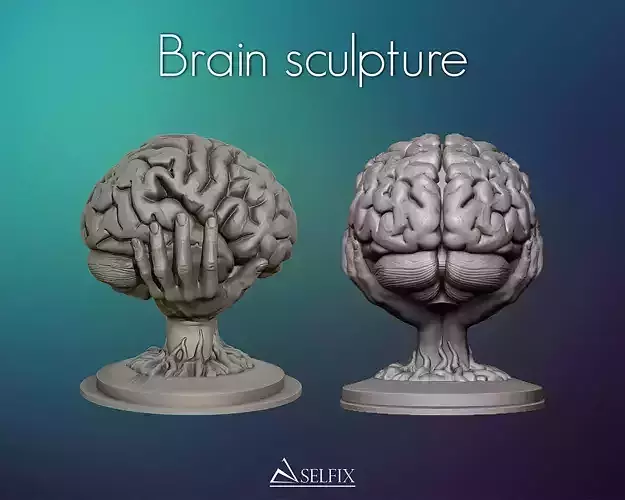 Brain sculpture 3D print model
