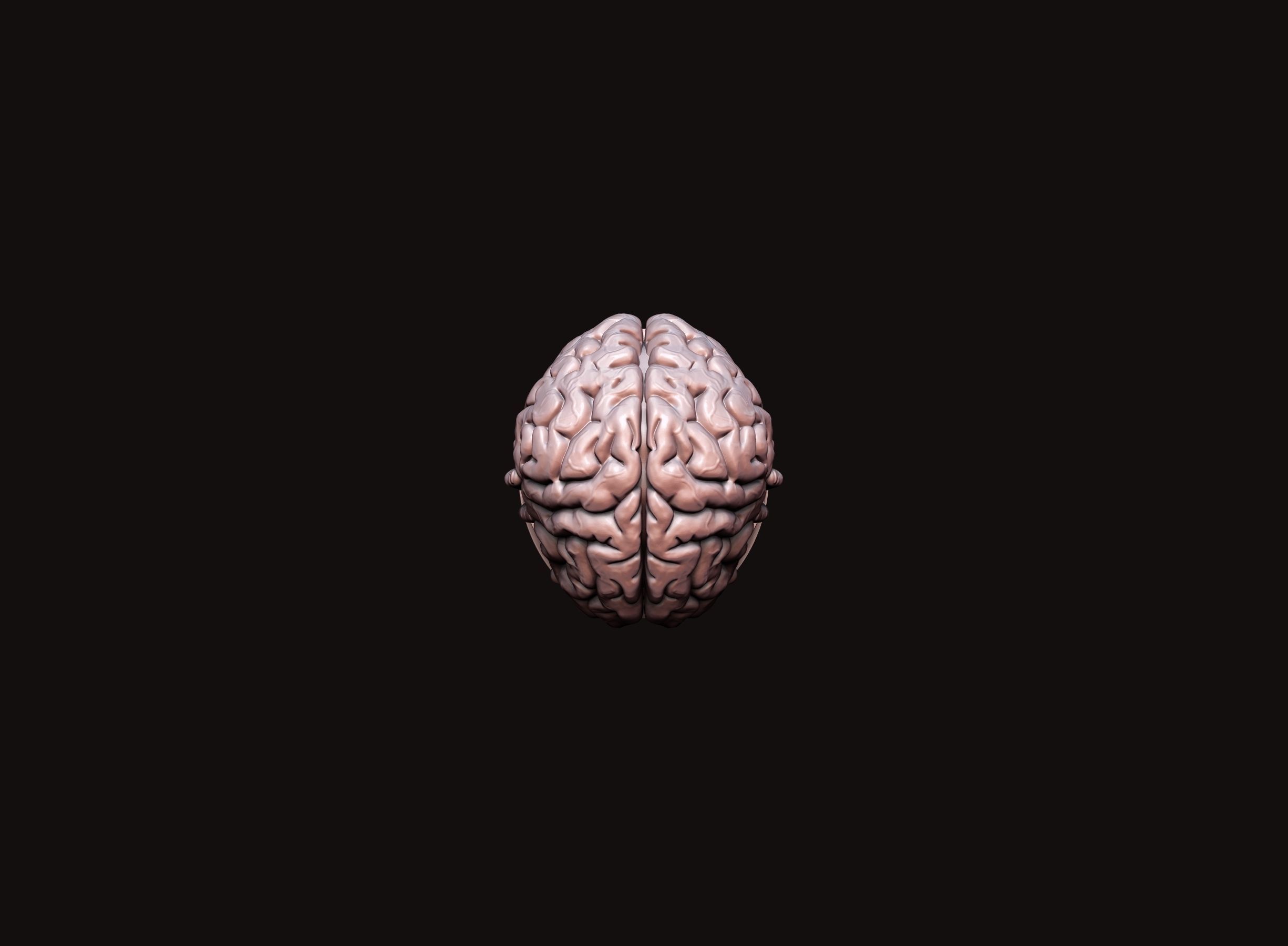 Brain sculpture 3D print model_11