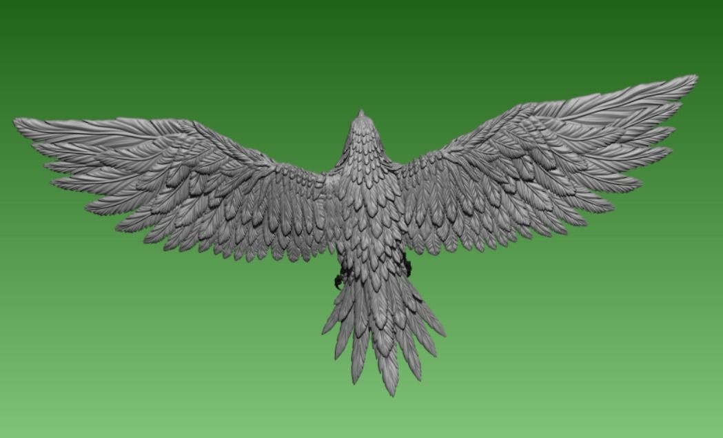 Hawk  3D print model_5