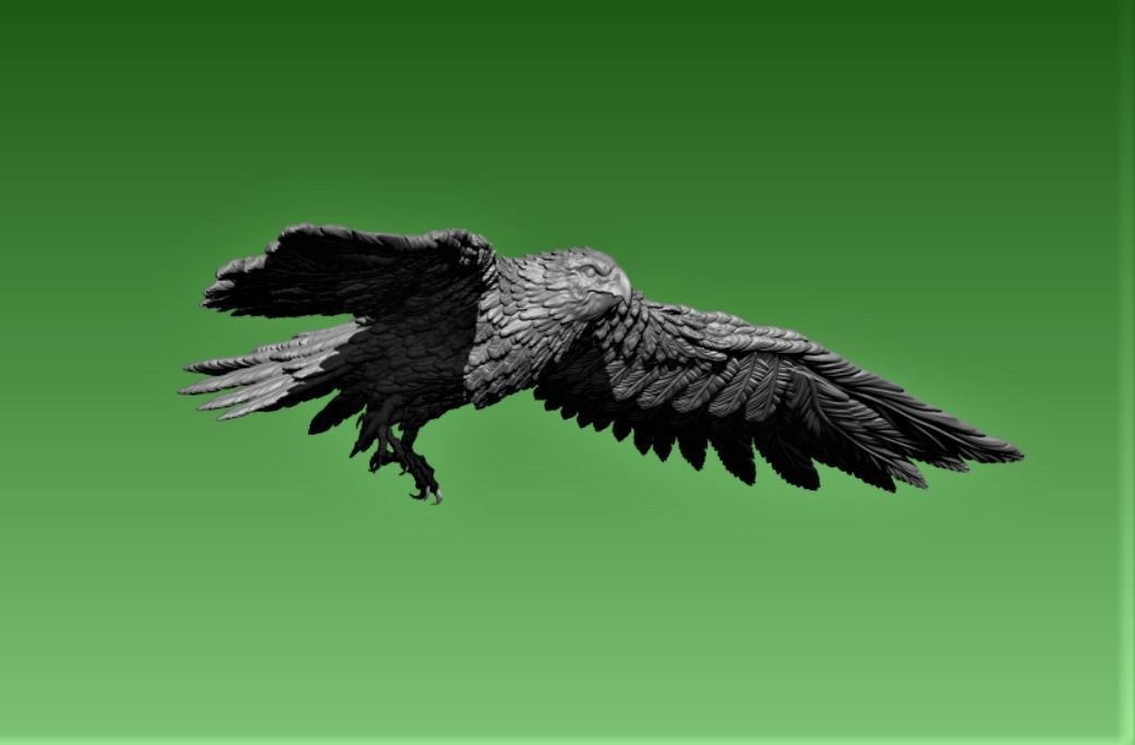 Hawk  3D print model_4