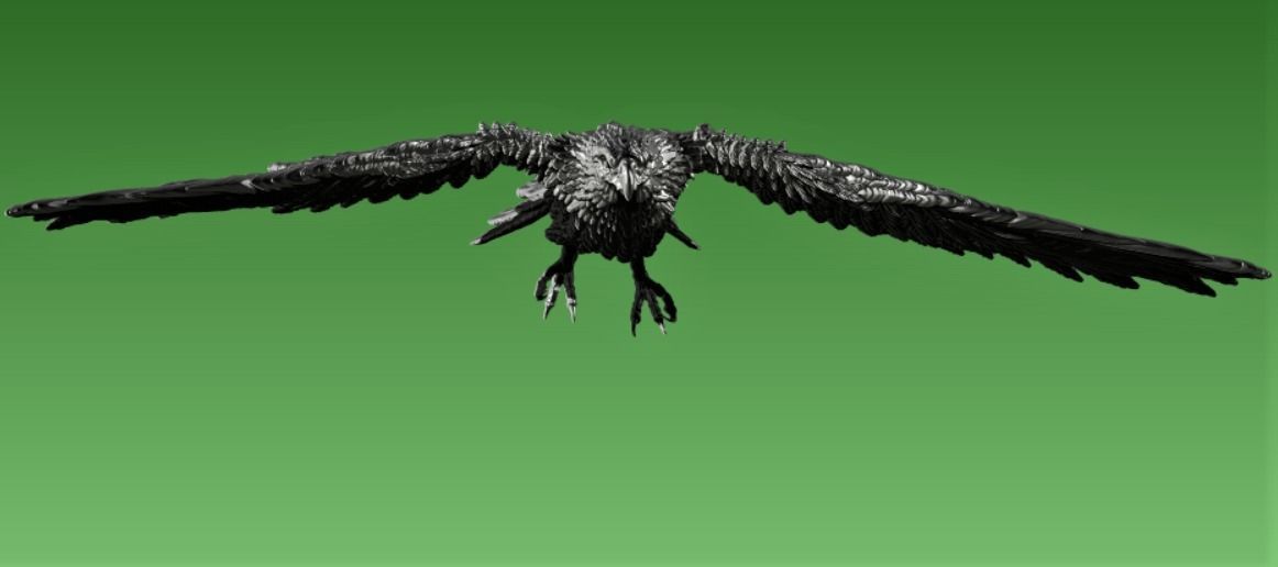 Hawk  3D print model_11