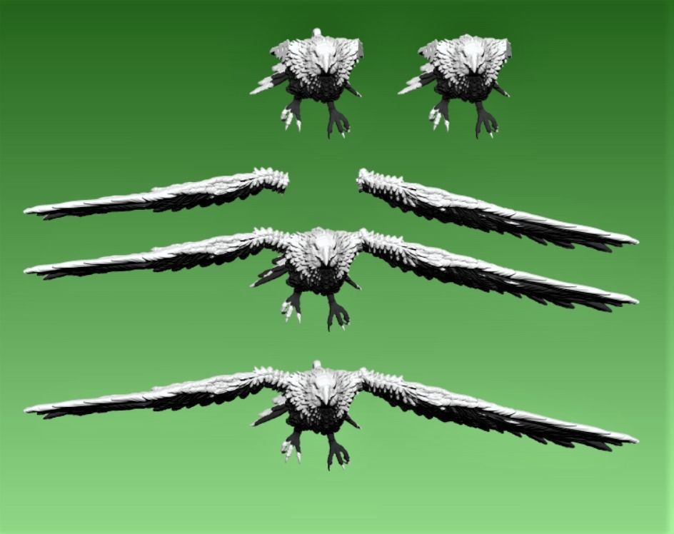 Hawk  3D print model_7