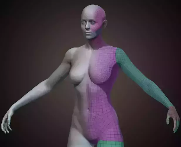 Female BaseMesh Low-poly 3D model