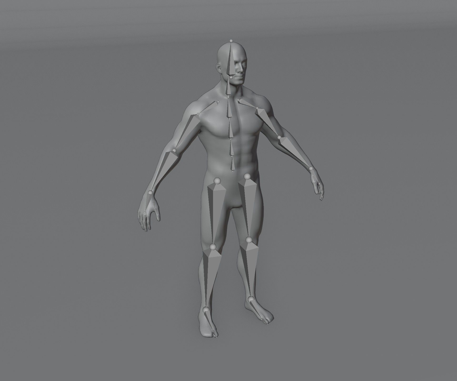 Human Body Base Mesh Animated Rigged 20k Polygons 10 3D Models 3D Model Collection_35