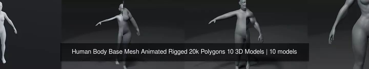 Human Body Base Mesh Animated Rigged 20k Polygons 10 3D Models 3D Model Collection_11