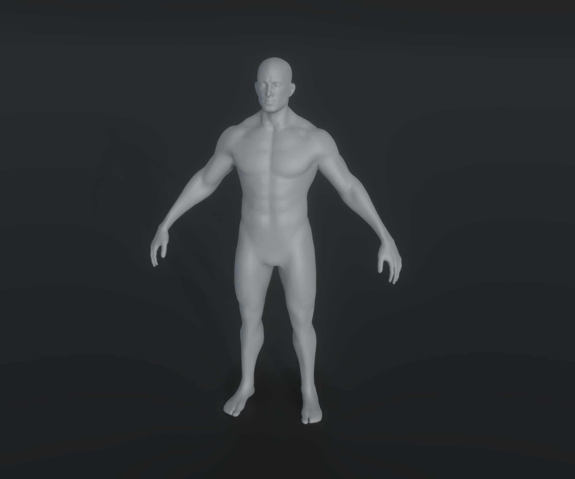 Human Body Base Mesh Animated Rigged 20k Polygons 10 3D Models 3D Model Collection_20